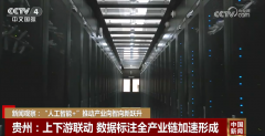 一系列面制范畴的大模子接踵发布